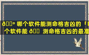 🌺 哪个软件能测命格吉凶的「哪个软件能 🐠 测命格吉凶的最准确」